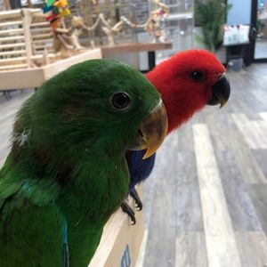 Meet your Posher, Kylee